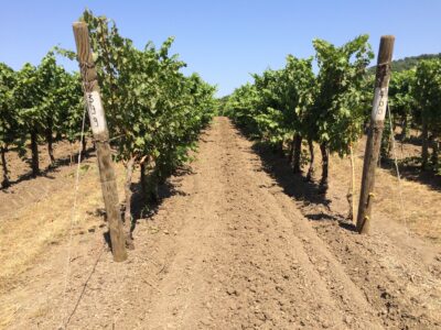 Soil Health and Deep Plowing Under The Tuscan Sun