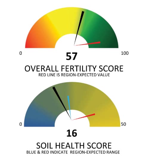 Soil Health Testing