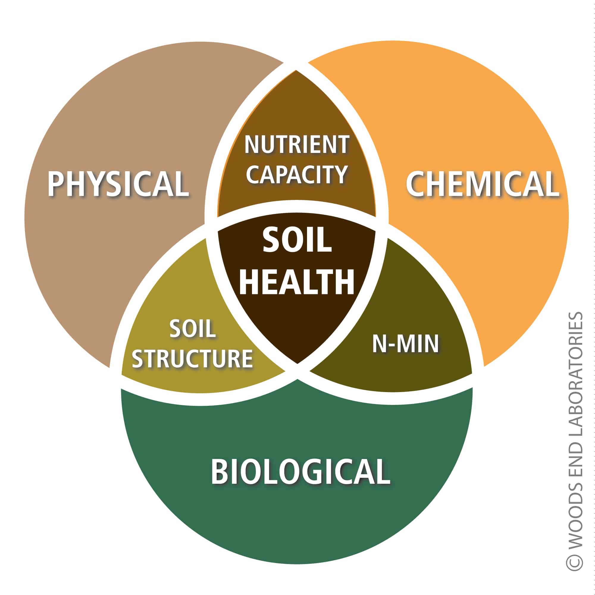 Physical capacity. Health Soil. Soil Play it forward. Chemical physical Analysis.