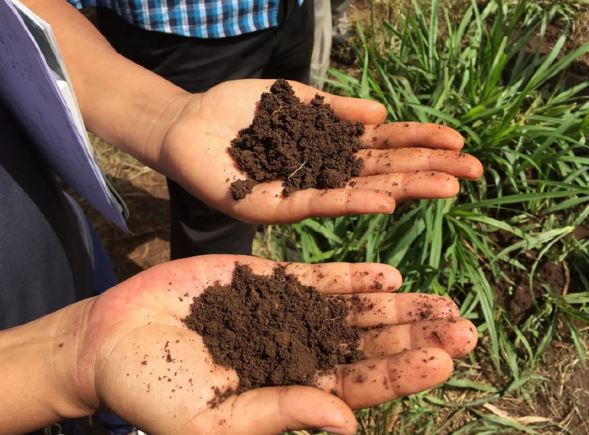 Africa soil health study reveals robustness of Solvita basal respiration test